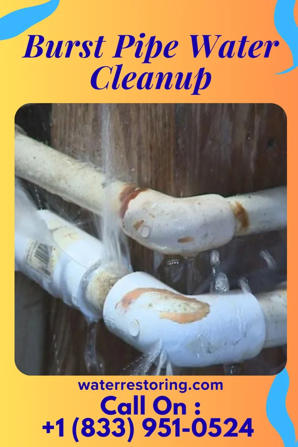 Burst Pipe Water Cleanup in Goldsboro, MD