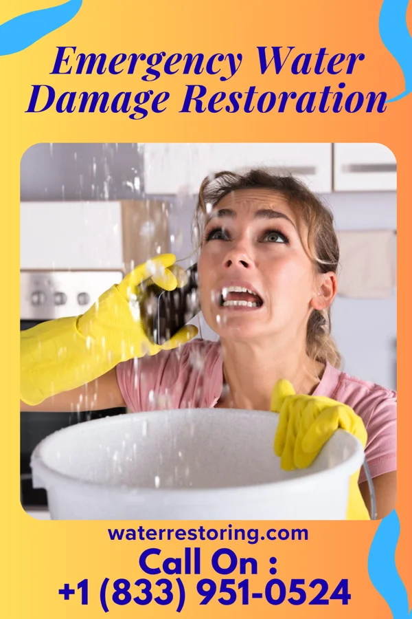Emergency Water Damage Restoration in Goldsboro, MD