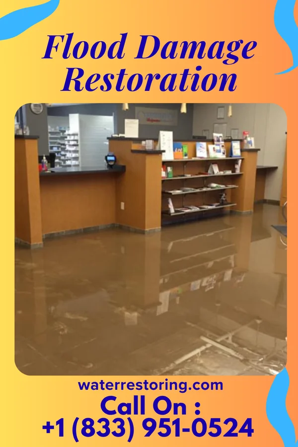 Flood Damage Restoration in Goldsboro, MD