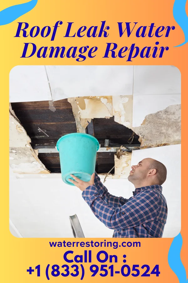 Roof Leak Water Damage Repair in Goldsboro, MD