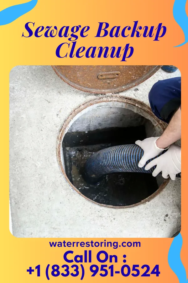 Sewage Backup Cleanup in Goldsboro, MD